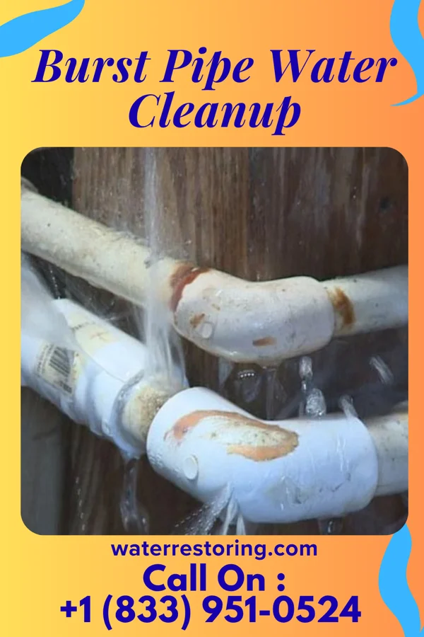 Burst Pipe Water Cleanup in Delhi Hills, OH