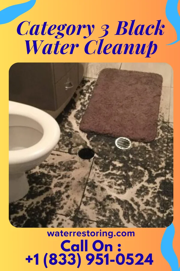 Category 3 Black Water Cleanup in Delhi Hills, OH