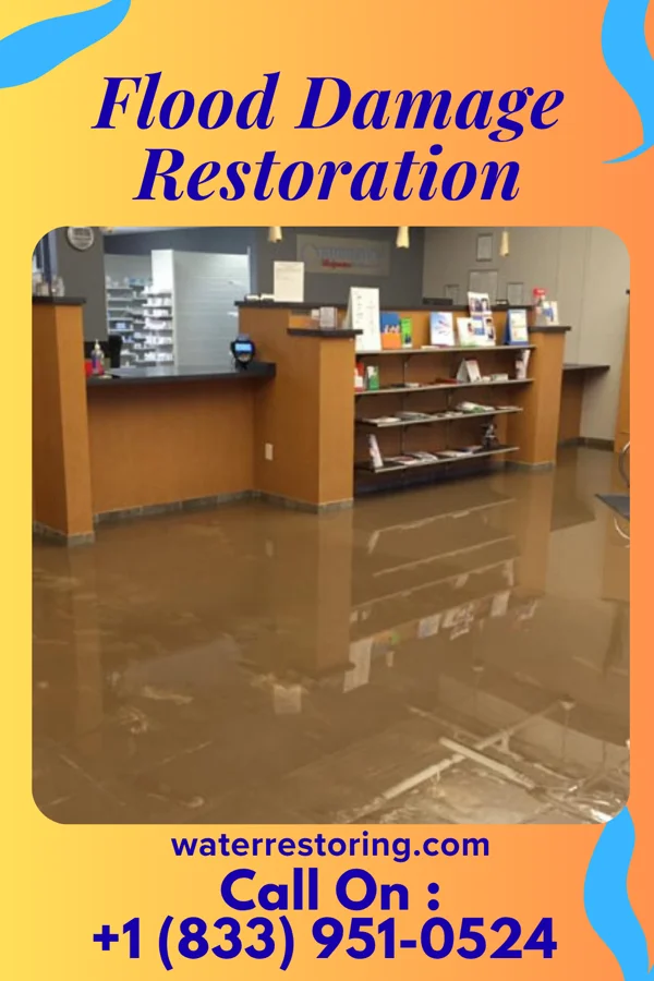 Flood Damage Restoration in Delhi Hills, OH