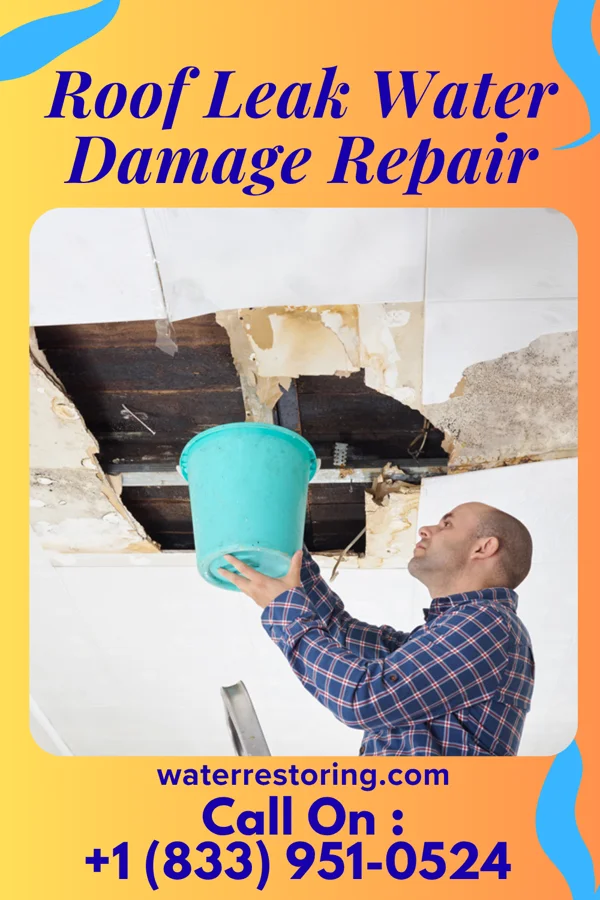 Roof Leak Water Damage Repair in Delhi Hills, OH