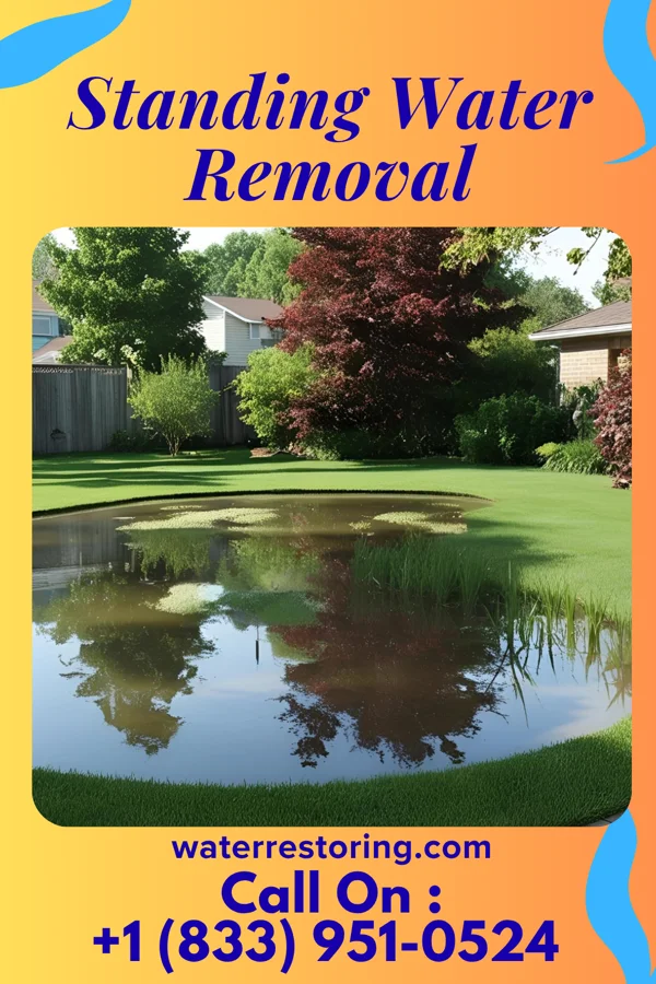 Standing Water Removal in Delhi Hills, OH